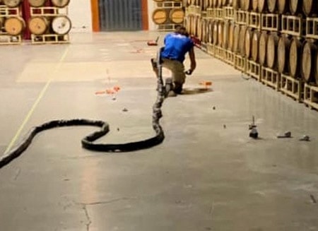 Concrete Floor Leveling Davie