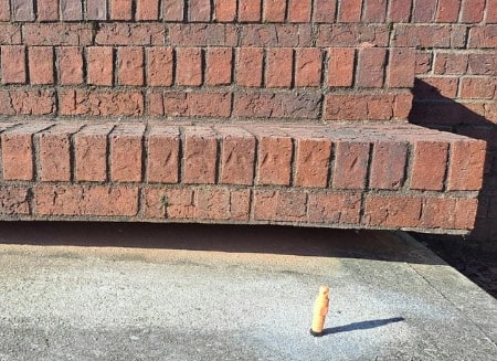 Concrete Steps Leveling Savannah