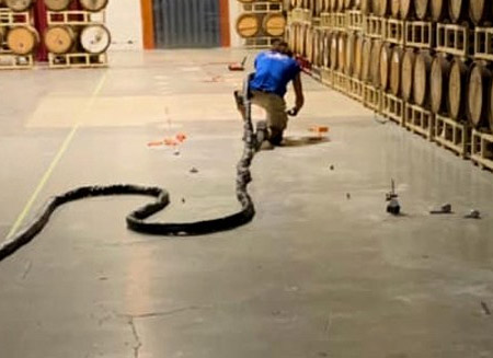 Concrete Floor Leveling