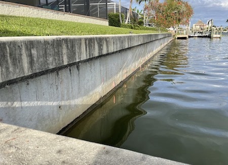 Tampa Seawall Repair